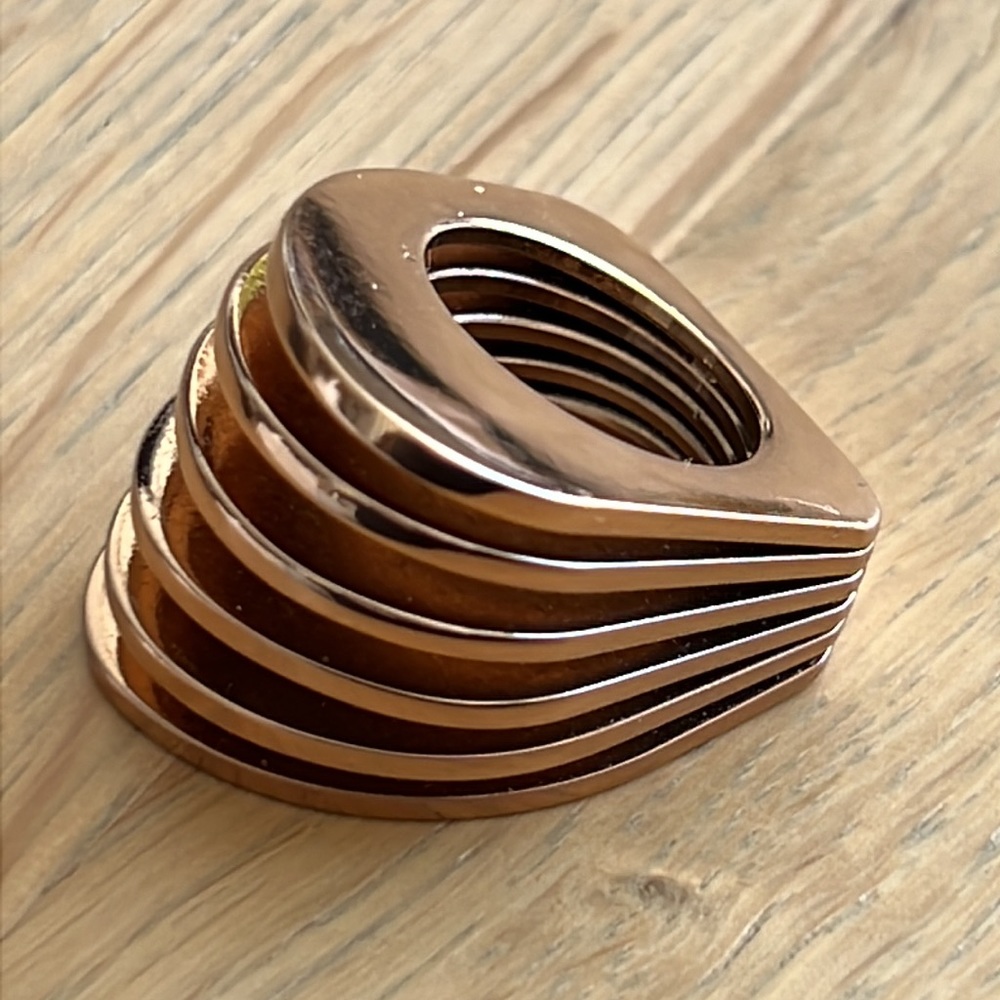 Vita Fede Futuro Ring